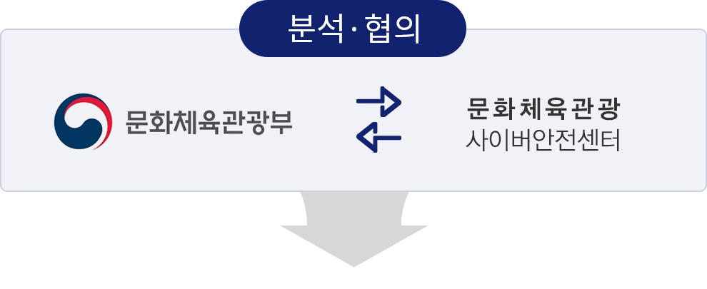 분석·협의(문화체육관광부 ㅣ 문화체육관광 사이버 안전센터)