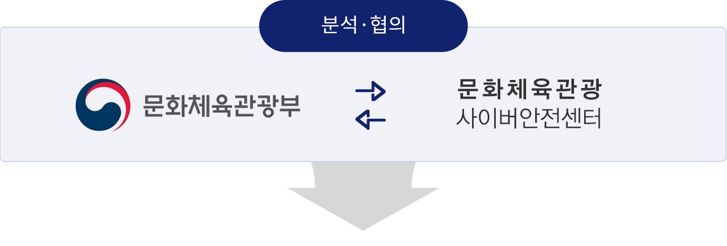 분석·협의(문화체육관광부 ㅣ 문화체육관광 사이버 안전센터)