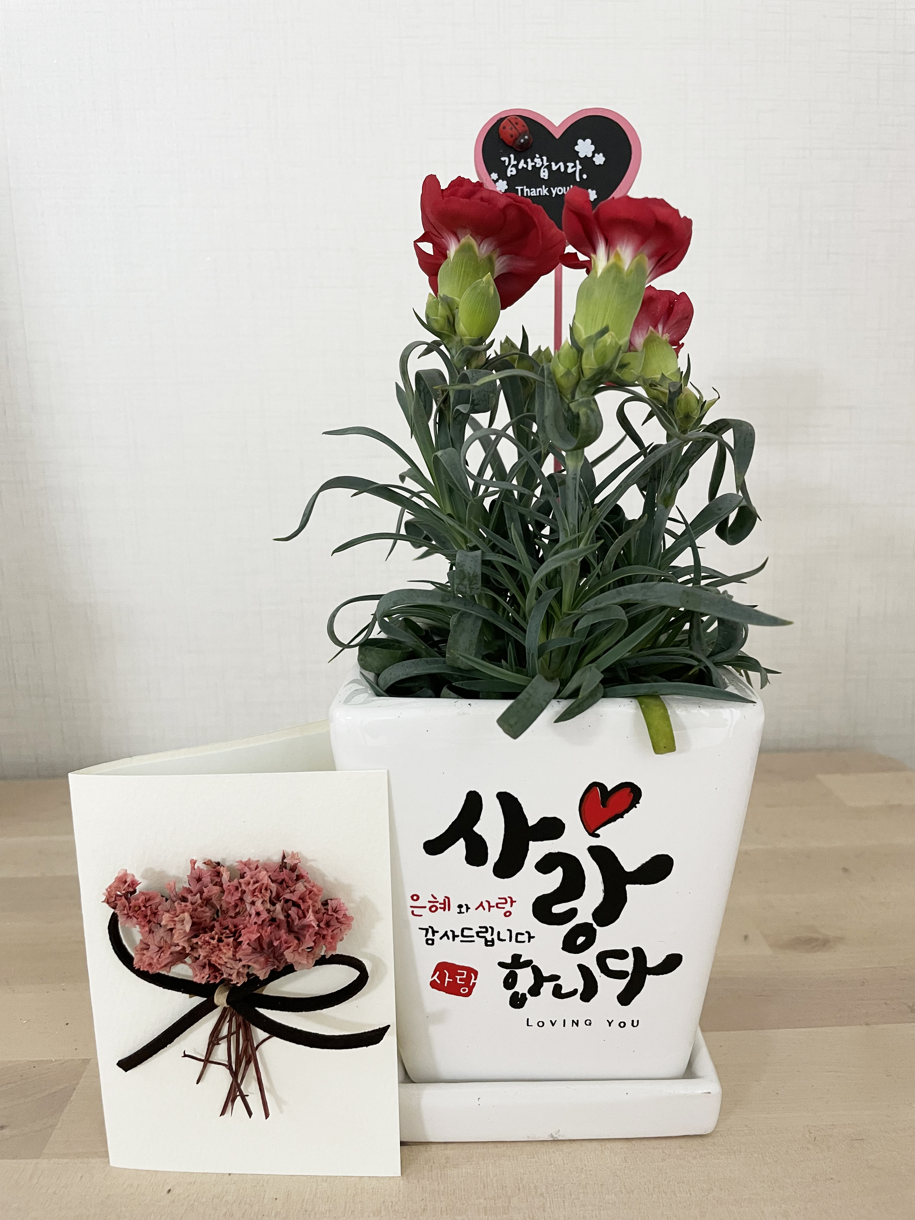 한국문화정보원이 어버이날을 맞아 전 직원의 자택으로 보낸 카네이션 화분과 엽서가 나란히 놓여있는 사진